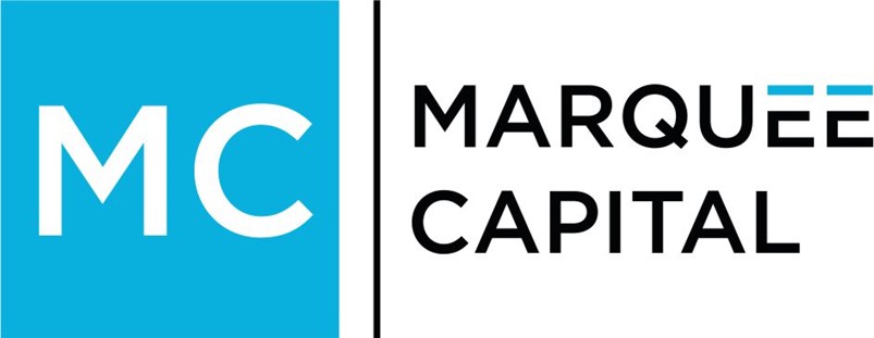 White Logo